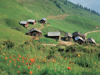 Appartement Aschau im Zillertal Environnement 35