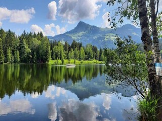 Appartement Aschau im Zillertal Environnement 13