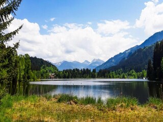 Appartement Aschau im Zillertal Environnement 15