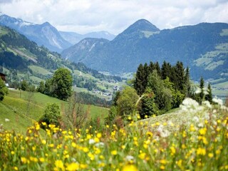 Appartement Aschau im Zillertal Environnement 17