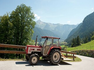 Appartement Ramsau im Zillertal Environnement 30