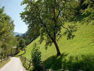Appartement Ramsau im Zillertal Omgeving 32