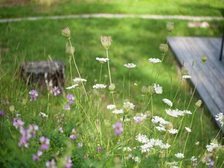 Chalet Itter Environnement 29