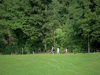 Chalet Itter Umgebung 29