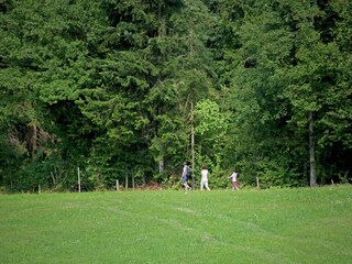 Chalet Itter Environnement 31