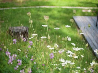 Chalet Itter Environnement 30