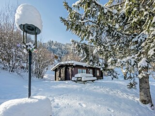 Chalet Itter Außenaufnahme 3