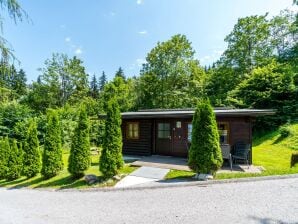 Luxe chalet met privéterras in Wörgl, Oostenrijk - Itter - image1