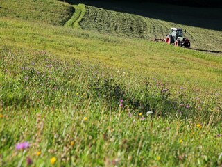 Chalet Itter Grabación al aire libre 6