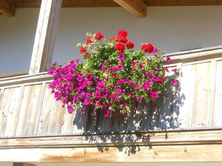 Chalet Aschau im Chiemgau  38