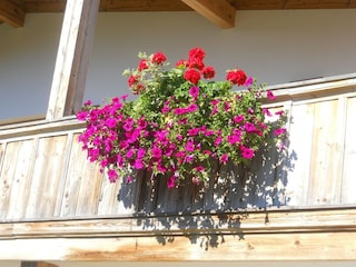 Chalet Aschau im Chiemgau Outdoor Recording 17