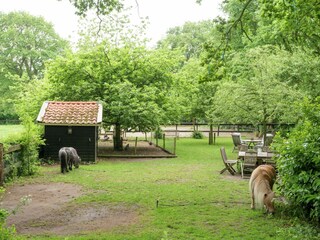 Farmhouse Linde Outdoor Recording 5