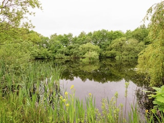 Bauernhof Linde Umgebung 31