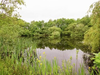 Type de propriété : Ferme Linde Environnement 31