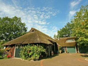 Vakantiehuis met sauna en bubbelbad - Nieuwleusen - image1