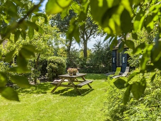 Holiday house Nieuwleusen Outdoor Recording 4