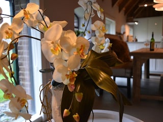 Boerderij Nieuwleusen  21