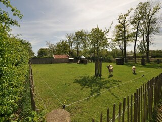 Type de propriété : Ferme Nieuwleusen Enregistrement extérieur 5