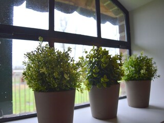 Boerderij Nieuwleusen  23