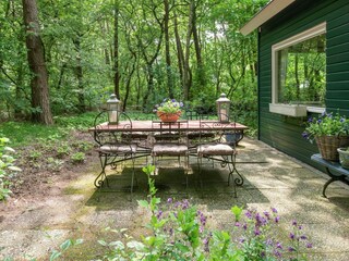 Vakantiehuis Ommen Buitenaudio-opname 4