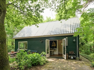 Ferienhaus Ommen Außenaufnahme 8