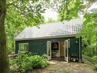 Vakantiehuis Ommen Buitenaudio-opname 6