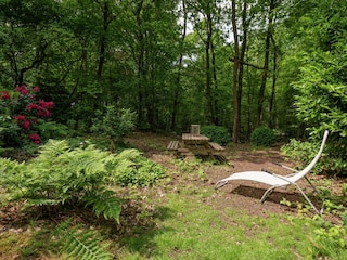 Holiday house Ommen Outdoor Recording 10