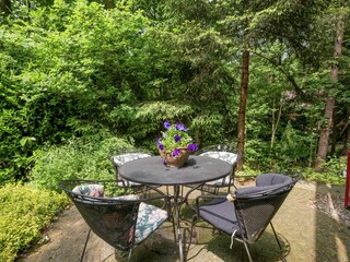 Vakantiehuis Ommen Buitenaudio-opname 10