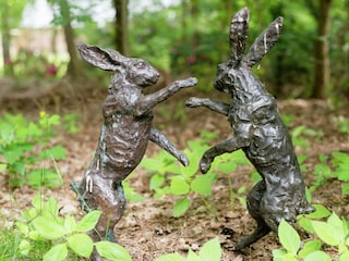 Maison de vacances Ommen  34