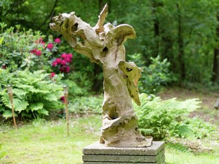 Vakantiehuis Ommen  29