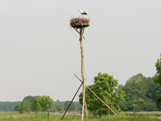 Vakantiehuis Ommen  27