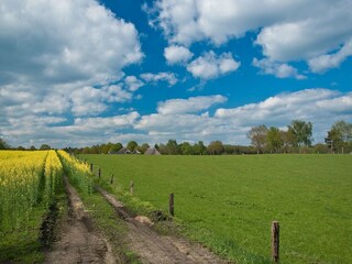 Holiday house Ommen Environment 30