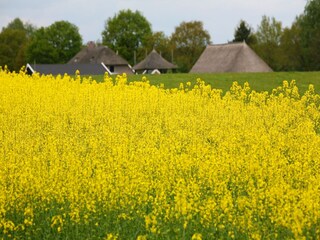 Holiday house Ommen Environment 32