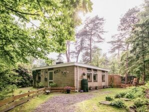 Casa de vacaciones amueblada en Overijssel en el bosque - presagio - image1