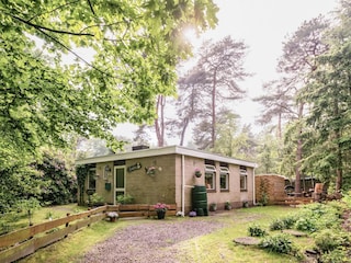 Ferienhaus Ommen Außenaufnahme 6