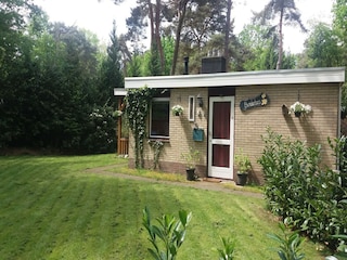 Ferienhaus Ommen Außenaufnahme 4