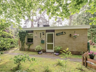 Vakantiehuis Ommen Buitenaudio-opname 4