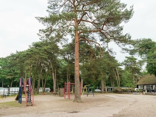 Ferienhaus Ommen Umgebung 30