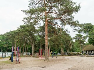 Maison de vacances Ommen Environnement 30