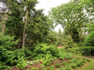 Ferienhaus Ommen Umgebung 26