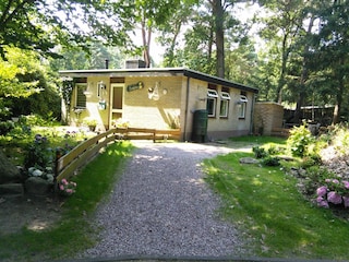 Ferienhaus Ommen Außenaufnahme 8