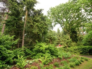 Ferienhaus Ommen Umgebung 32