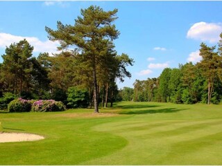 Maison de vacances Ommen Environnement 28