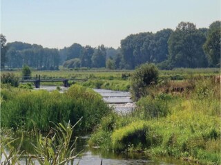 Maison de vacances Ommen Environnement 32