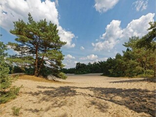 Casa per le vacanze Ommen Ambiente 32