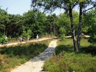 Chalet Rheezerveen Environnement 37