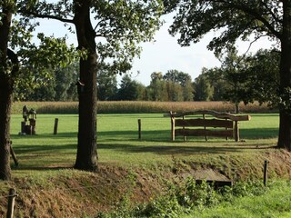 Chalet Rheezerveen Environnement 35