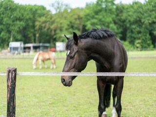Boerderij Bergentheim Omgeving 34