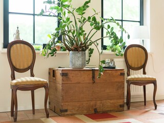 Type de propriété : Ferme Bergentheim  37