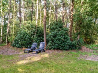 Holiday house Rheezerveen Outdoor Recording 12